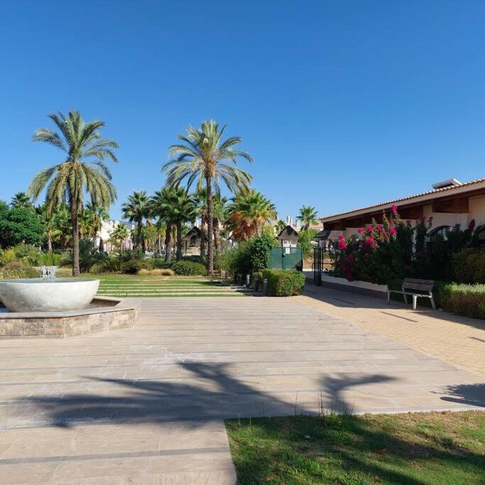 Appartement Un Oasis En Hacienda Del Alamo *