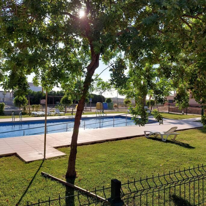 Apartment Un Oasis En Hacienda Del Alamo
